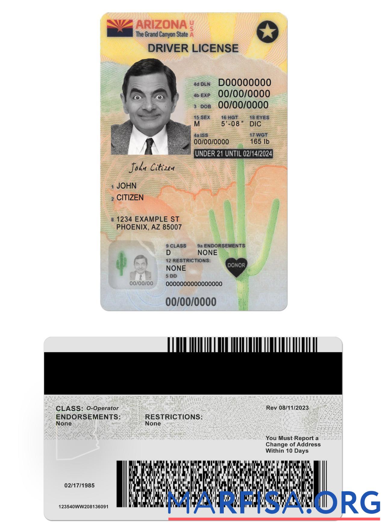 Downloadable USA Arizona driving license under 21 version 2 download for verification